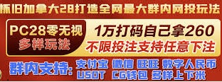 加拿大28技巧公式新手专用